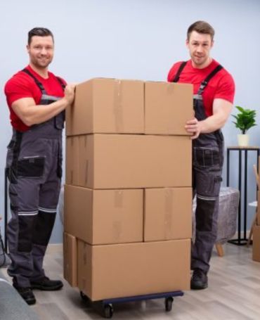 Professional Packers and Movers